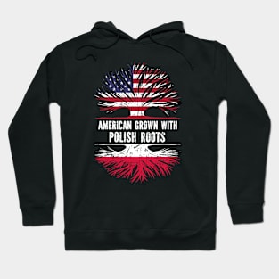 American Grown with Polish Roots USA Flag Hoodie